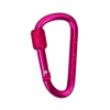Aluminum Alloy D-Ring Keychain Carabiner