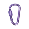 Aluminum Alloy D-Ring Keychain Carabiner