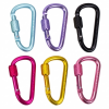 Aluminum Alloy D-Ring Keychain Carabiner