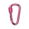 Aluminum Alloy D-Ring Keychain Carabiner